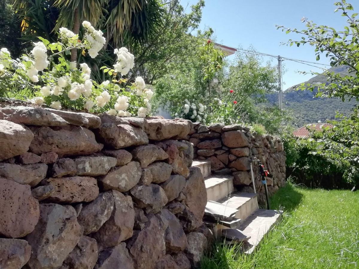 Casa Vacanze Villa Rosetta Dorgali Dış mekan fotoğraf