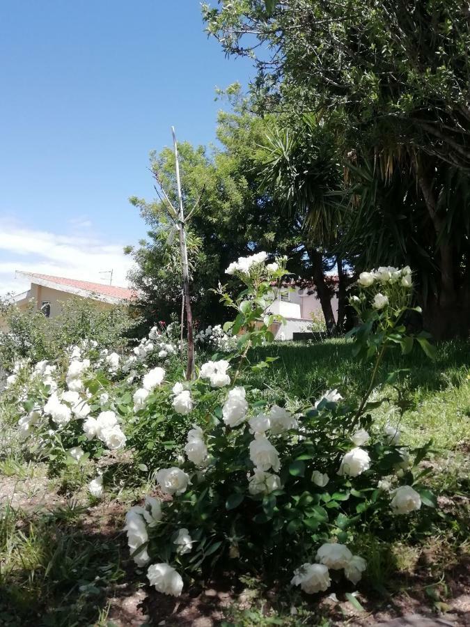 Casa Vacanze Villa Rosetta Dorgali Dış mekan fotoğraf