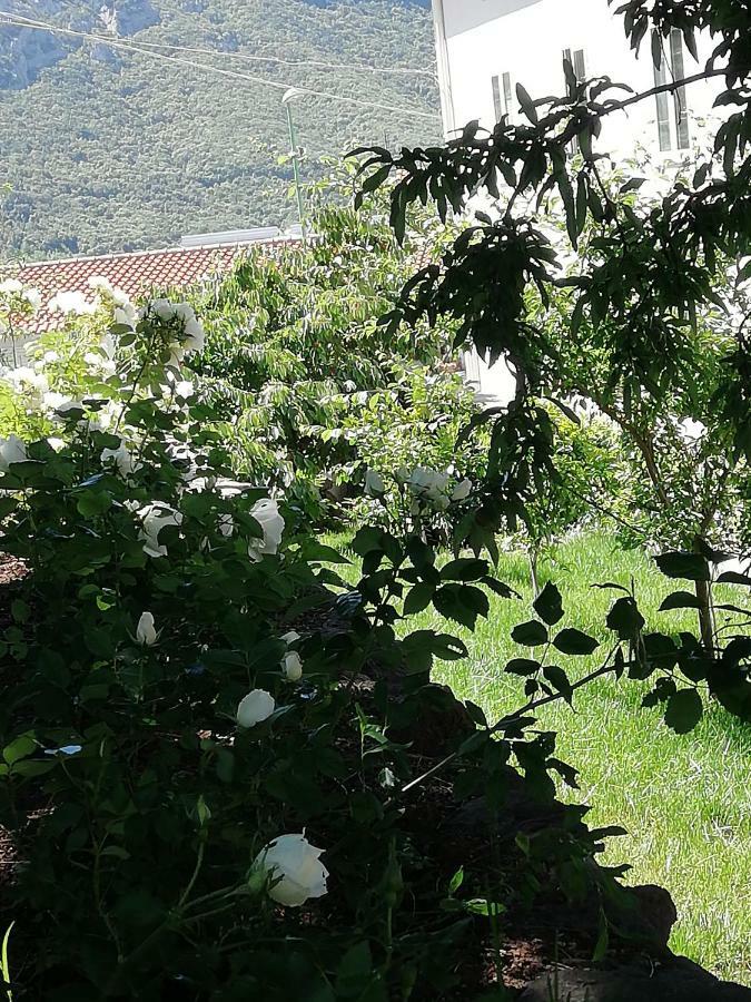 Casa Vacanze Villa Rosetta Dorgali Dış mekan fotoğraf
